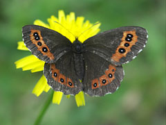  - Triglav National Park, 斯洛文尼亚