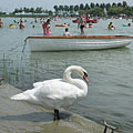 Balatonlelle, Мађарска