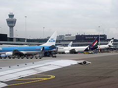 A Malév (az egykori magyar állami légitársaság) egyik gépe a Schiphol reptéren - Amszterdam, Hollandia