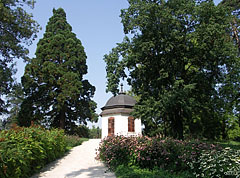 Pavilon a Királydombon (Királypavilon), mellette balra egy óriás mamutfenyő vagy hegyi mamutfenyő (Sequoiadendron giganteum) látható - Gödöllő, Magyarország