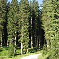 Triglav Nemzeti Park, Szlovénia