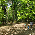 Börzsöny Mountains, Maďarsko