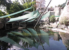 Pool of the African penguins and the harbour seals - Budapešť, Maďarsko