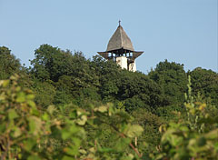 Lookout tower on Gyertyános Hill - Mogyoród, Maďarsko