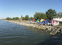 The lakeshore at the free beach - Agárd, Maďarsko