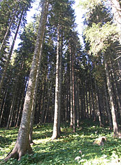  - Triglav National Park, Slovinsko