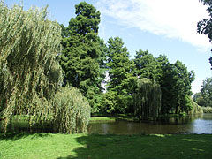 English landscape style park with a pond, willows and other trees - Amsterdam, Hollanda