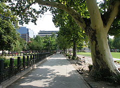 Walkway and plane trees in the park - Budapeşte, Macaristan