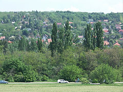 Looking to the valley from the footpath that leads to the horse tracks - Gödöllő, Macaristan