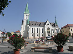 The Assumption of Our Lady Roman Catholic Cathedral of Kaposvár ("Nagyboldogasszony-székesegyház") - Kaposvár, Macaristan