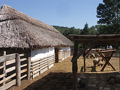 Farmstead from the Nagykunság, the fenced sheepfold for Racka sheep - Szentendre, Macaristan