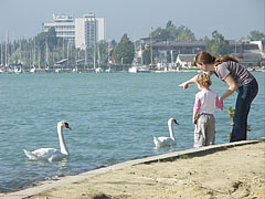 Morning mood by the lake - Balatonfüred, Ungaria