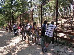 Visitors at the bear enclosures - Budakeszi, Ungaria