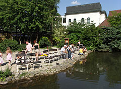 The small pond of the Japanese Garden - Budapesta, Ungaria