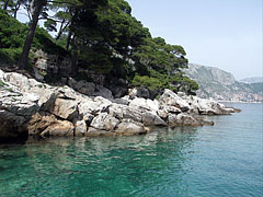 Rocky coast on the Lokrum Island - Dubrovnik, Croația