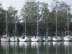 Sailboat harbor - Fonyód, Ungaria