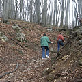 Pilis Mountains (Pilis hegység), Ungaria