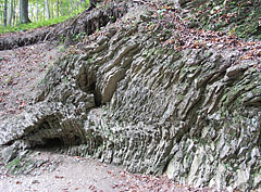 Rocks in the mountainside at Istállós-kő - Szilvásvárad, Ungaria