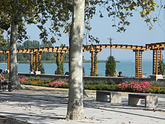 Flowers of the Rose Garden and the lake, viewed from the promenade - Balatonfüred, Hungria