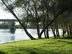 Fress green grass on the riverside free beach, as well as the Drava Bridge at Barcs - Barcs, Hungria