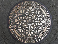 The ornamental manhole cover of the electricity company - Budapest, Ungheria