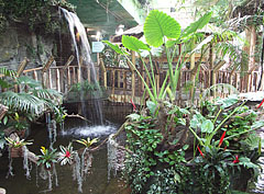 "Tropical Forest", every quarter hour an artificial storm is coming with rain and thunder simulation - Budapest, Ungheria