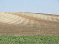 Plough field on the Nógrád Hills near the Sinkár Lake - Csővár, Ungheria