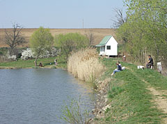 Anglers on the shore of the Sinkár Lake - Csővár, Ungheria