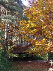 Small thatched-roofed forest shelter in the botanical garden of Gödöllő - Gödöllő, Ungheria