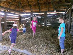 Kids are playing in the straw (in the barn of the "common yard of the Palóc kin") - Szentendre (Sant'Andrea), Ungheria