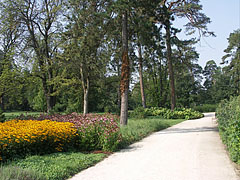 A walkway in the palace park, that was renovated in 2010 - Gödöllő, Unkari