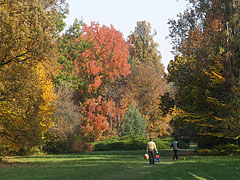 Autumn landscape in the arboretum - Szarvas, Unkari