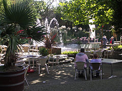 Restaurant (or rather a buffet) and a small lake with some pink Chilean flamingos (Phoenicopterus chilensis) - Amsterdam, Nizozemska