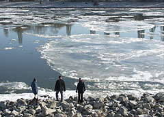 Bigger and bigger ice floes floating down the river  - Budimpešta, Madžarska