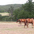 Gödöllő Hills (Gödöllői-dombság), Madžarska