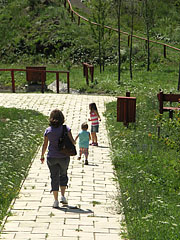 Paved path - Ipolytarnóc, Madžarska