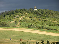 The storm has gone - Mogyoród, Madžarska