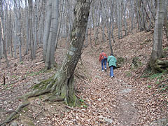  - Pilis Mountains (Pilis hegység), Madžarska