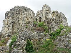 The Golden House Geyser Cone (spring cone) got its name after the yellowish lichens that cover the rocks - Tihany, Madžarska