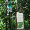 Šomoška National Nature Reserve (Národná prírodná rezervácia Šomoška), Słowacja