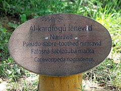 Information board - Ipolytarnóc, Унгария