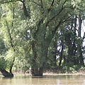 Tokaj, Унгария