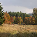 Faktor Meadow (in Hungarian "Faktor rét") - Bánkút, Ungarn