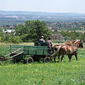 Szentendre (Sankt Andrä), Ungarn