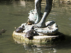 Red-eared slider terrapins (Trachemys scripta elegans) on the statue of the crab fishing boy ("Rákászfiú") - Boedapest, Hongarije