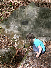 Havanna Spring - Börzsöny Mountains, Hongarije