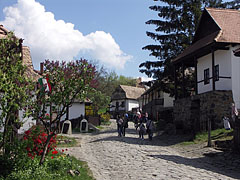 View of the World Heritage village, with spring flowers - Hollókő, Hongarije