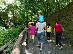 Excursionists in the woods, along the path of Borókás Trench, between the brook and ferns - Ipolytarnóc, Hongarije