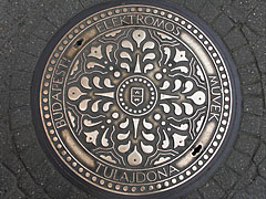 The ornamental manhole cover of the electricity company - Budapest, Ungari