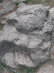 The "Szamárkő" rock that is formed by the post-volcanic activity million years ago - Zamárdi, Ungari